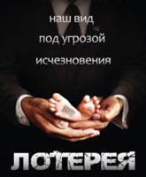 The Lottery / 